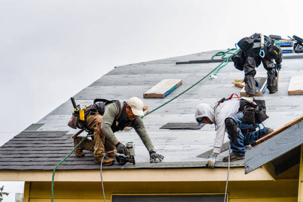 Professional Roofing technician working in Hawkeye, IA